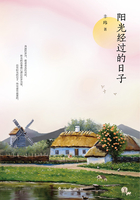 阳光经过的日子