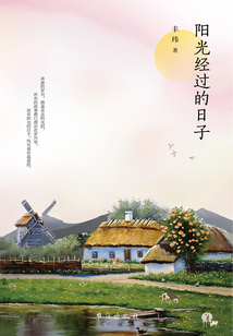 阳光经过的日子