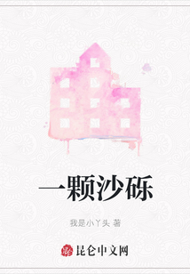 一颗沙砾