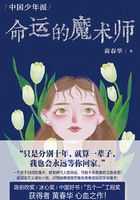 中国少年派：命运的魔术师在线阅读