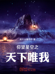 仰望星空之天下唯我