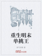 重生明末單挑王在線閱讀