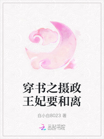 穿書之?dāng)z政王妃要和離
