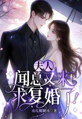 夫人,闻总又来求复婚了!在线阅读