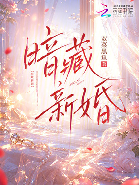 暗藏新婚在线阅读