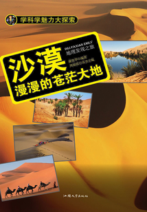 沙漠：漫漫的蒼茫大地