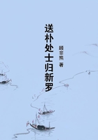 送樸處士歸新羅在線閱讀