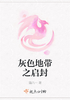 灰色地帶之啟封在線閱讀