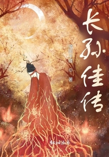 長孫佳傳