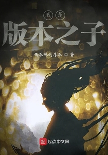 我是版本之子