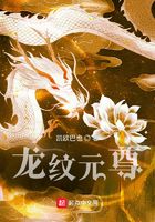 龙纹元尊在线阅读