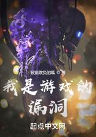我是游戲的漏洞在線閱讀