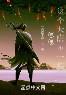 雙穿：這個大唐不一般