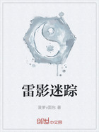 雷影迷踪在线阅读