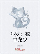 斗罗：花中龙少在线阅读