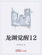 龍淵覺醒12在線閱讀
