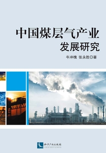 中国煤层气产业发展研究