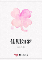 佳期如夢在線閱讀