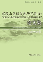武陵山区域发展研究报告:“武陵山少数民族地区经济社会发展高峰论坛”论文集在线阅读