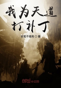 我為天道打補(bǔ)丁