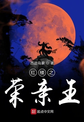 红楼之荣亲王在线阅读