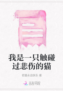 我是一只觸碰過悲傷的貓