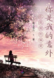 你是我的偏愛你是我的意外
