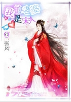 我的老婆是宋人在線閱讀