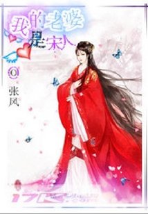 我的老婆是宋人