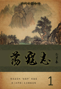 清代长篇小说：荡寇志（1）