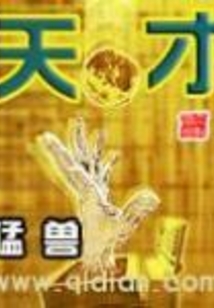 天才 cover