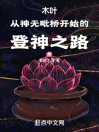 木叶:从神无毗桥开始的登神之路在线阅读