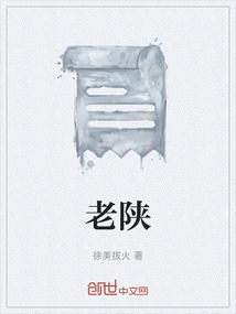 老陜