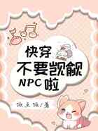 快穿：不要觊觎NPC啦