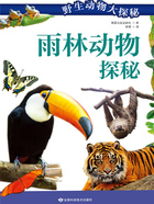 雨林动物探秘(野生动物大探秘)在线阅读