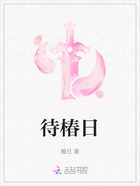 待椿日在线阅读