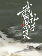 我的器靈仙子在線閱讀