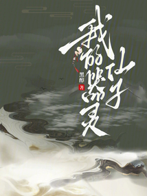 我的器靈仙子