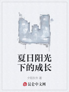 夏日陽光下的成長在線閱讀