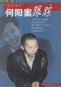 “點子大王”何陽案跟蹤