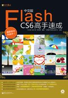 中文版Flash CS6高手速成