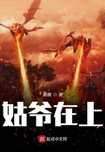 姑爺在上