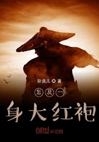 怎及一身大紅袍在線閱讀