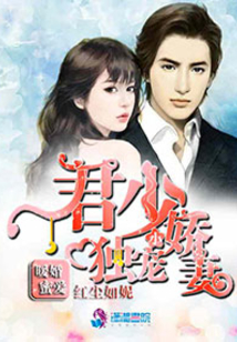 暖婚蜜愛:君少獨寵小嬌妻