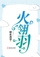 火翎羽在線閱讀