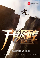 我有一塊升級磚在線閱讀