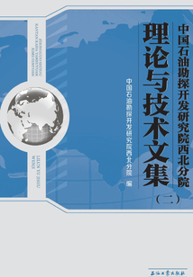 中國石油勘探開發(fā)研究院西北分院理論與技術(shù)文集(二)