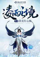 凌雨之境