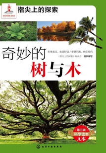 奇妙的樹與木