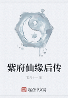 紫府仙缘后传在线阅读